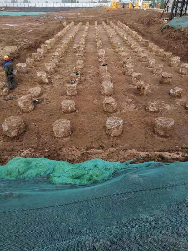 草莓视频在线免费看施工队